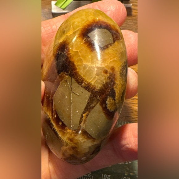 Beautiful Septarian palm stone #2 - Picture 5 of 14